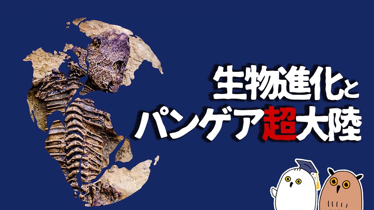 【ゆっくり解説】パンゲア超大陸と酸素と生物進化｜後編【 進化論 / 古生物 / 生命の歴史㉖ 】