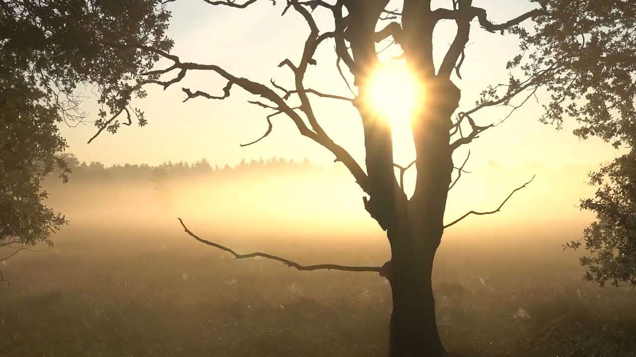 Calm classical piano music for work or relax