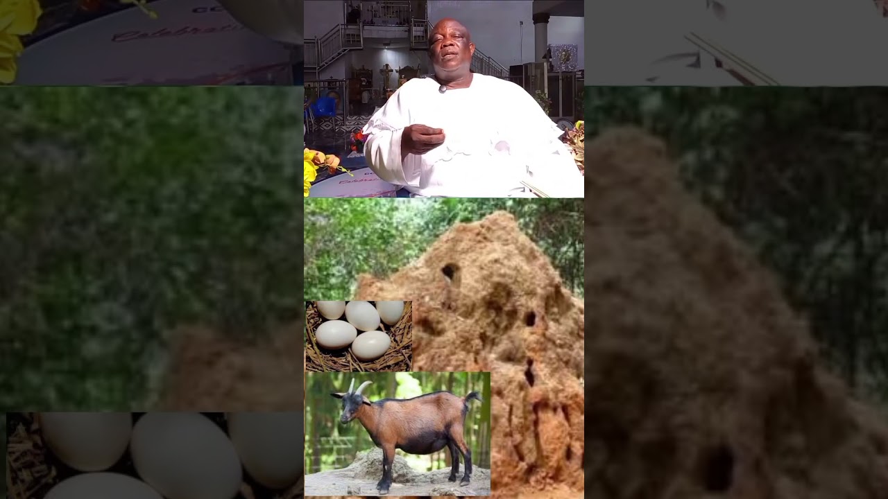 Important of olu Ogan 