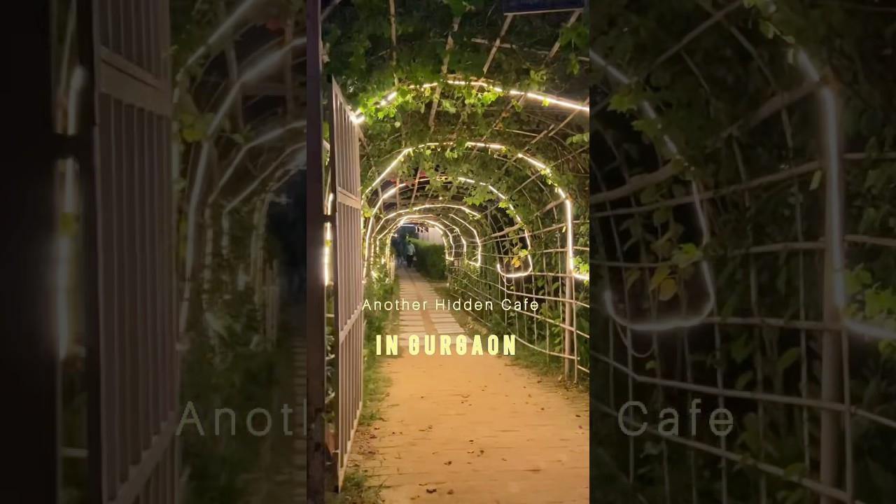 Hidden Cafe in Leopard Trail, Gurgaon. #leopardtrail #gurgaon Full vlog live on my Channel.
