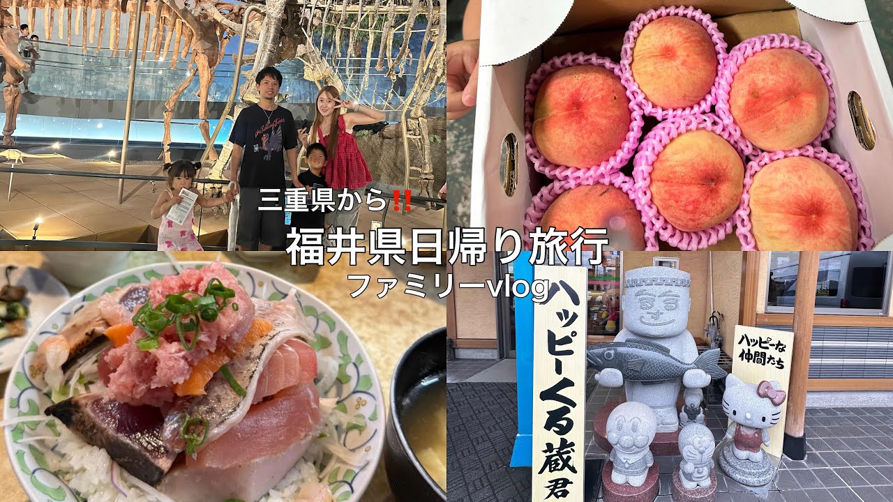 福井県日帰り旅行vlog🍑恐竜博物館/福井中央卸売市場/ほがらか亭
