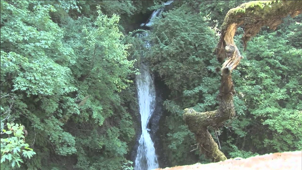 Accessible Adventures: Water Falls Along the Historic Columbia River Highway
