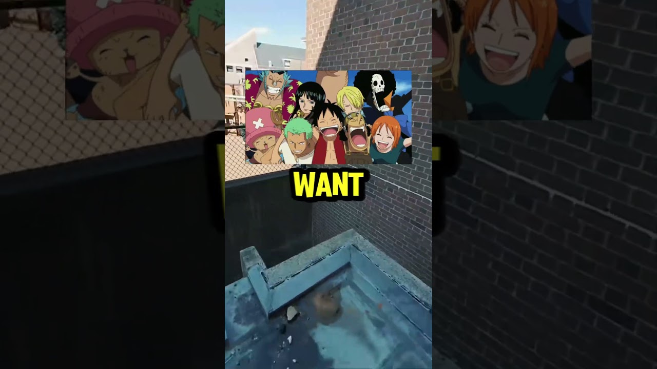 Join 1 Of These Yonkos To Survive A Legendary One Piece Challenge!!
