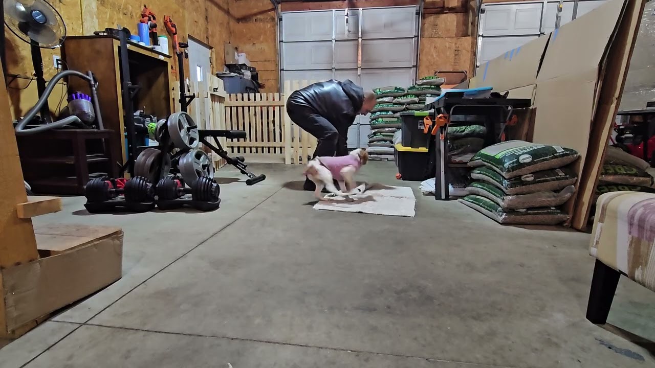 Lucy update 