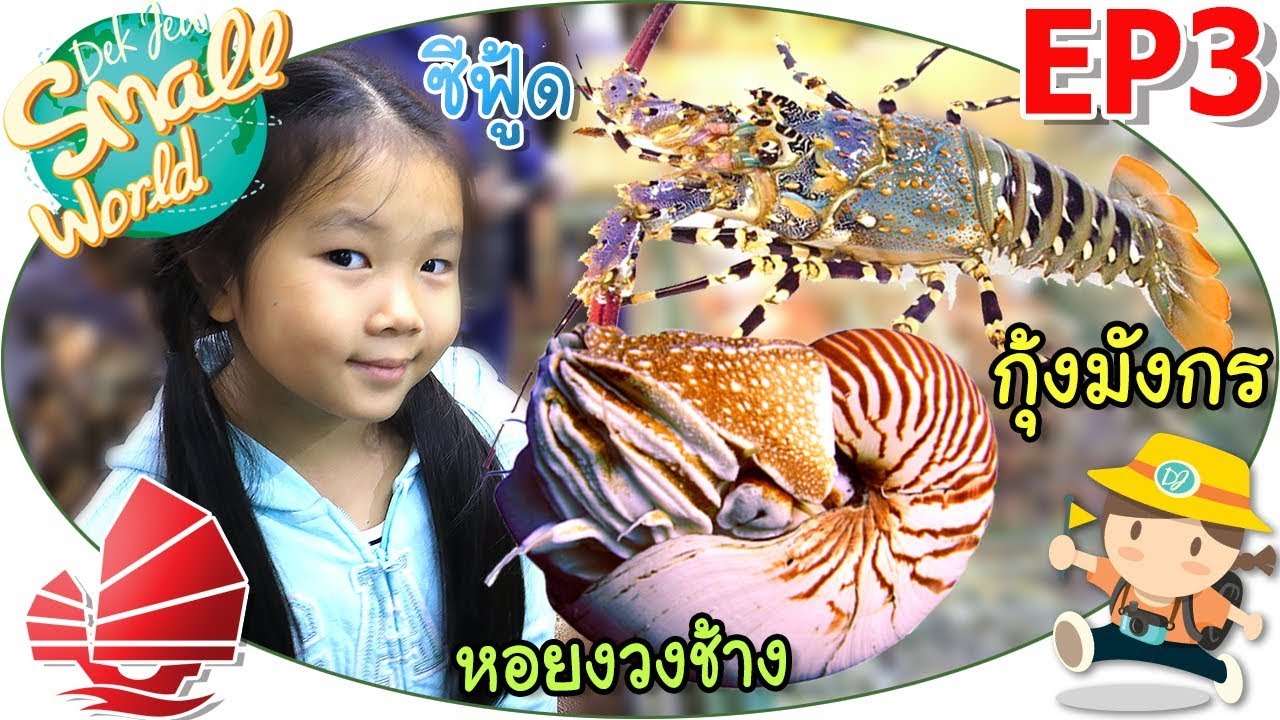 เด็กจิ๋ว@ฮ่องกง62 Ep03 กินซีฟู้ดอลังการ หอยงวงช้าง กุ้งมังกร เป๋าฮื้อ