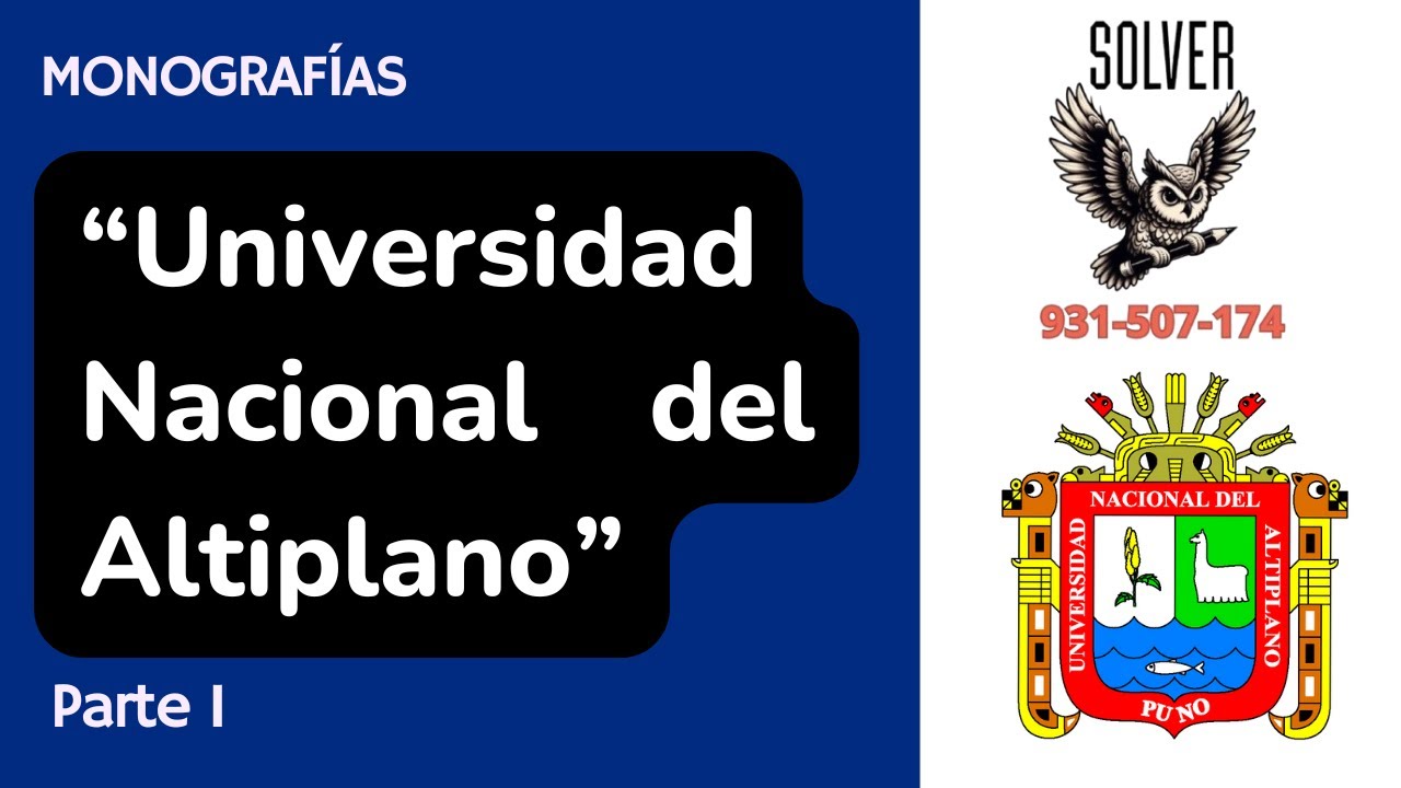 Monografía contable 20| Universidad Nacional del Altiplano