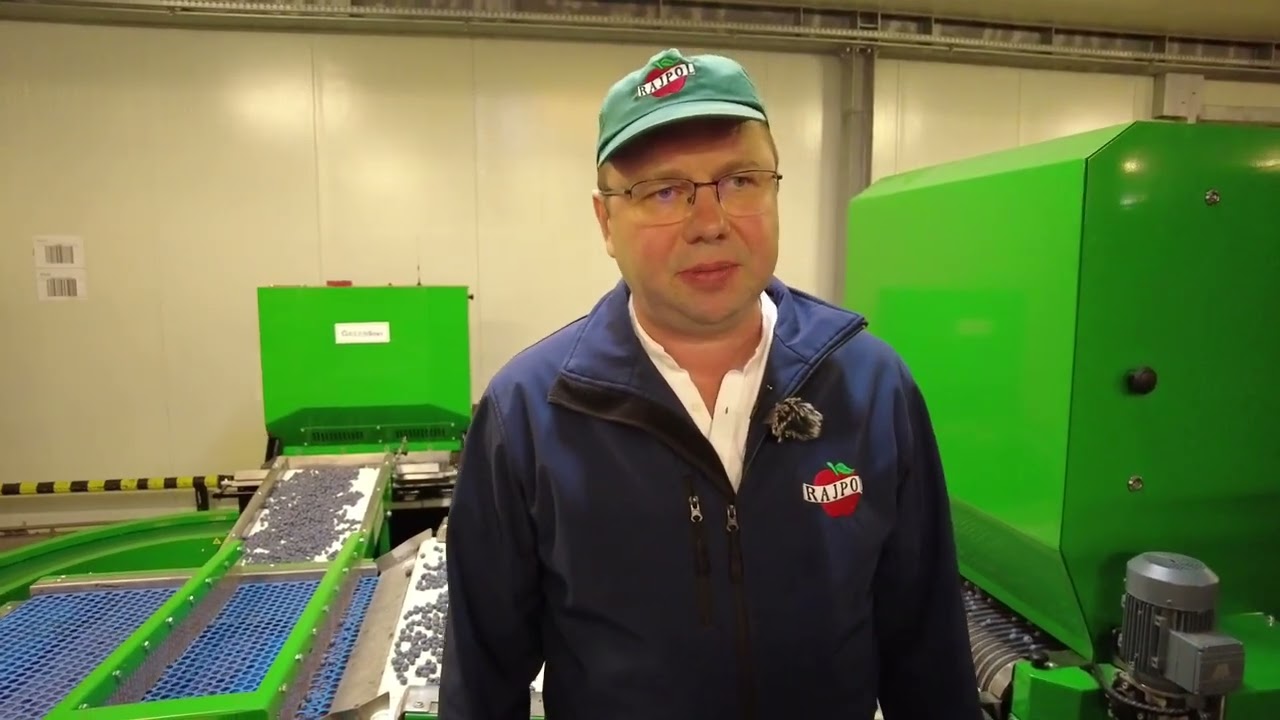 Nowa sortownica do bor&oacute;wek Green Sort w grupie Rajpol. Jak sprawdza się w praktyce?