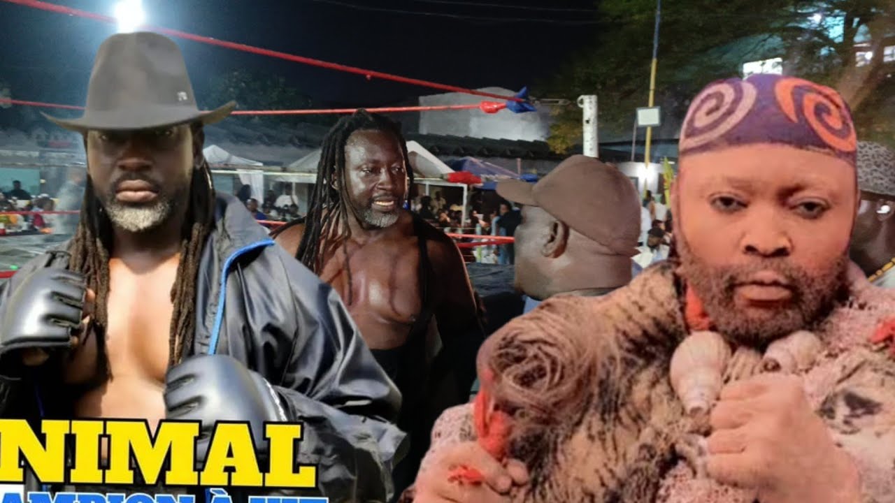 22 février 2026 CHAMPION ANIMAL ALINGI ABOMA GESAC MALEMA EYINDI NA MATETE