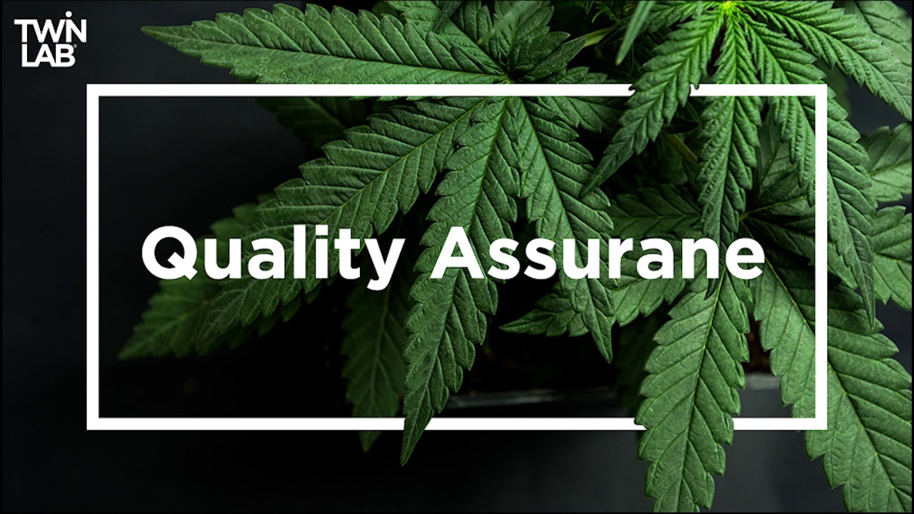 Quality assurance | The Science of CBD
