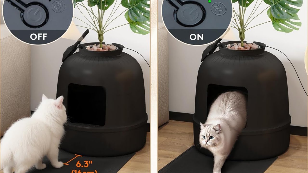 Is it a Plant? 🪴 Lifewit Hidden Plant Litter Box Review