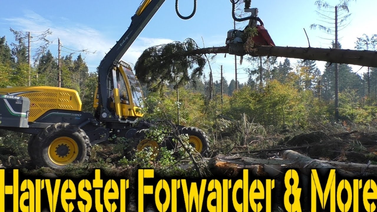Eco Log 590E & Logmax 7000 | Windbreak Germany