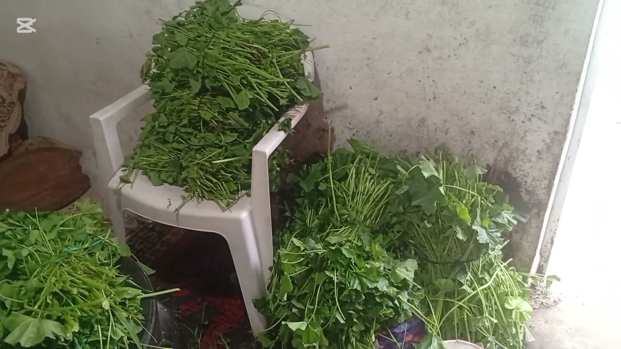 ٦ فبراير ٢٠٢٦