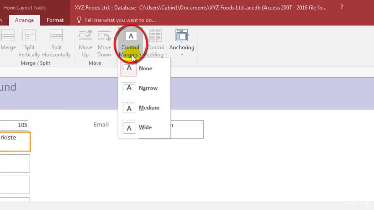 Microsoft Access 2016 Tutorial  Modifying forms in Layout and design view