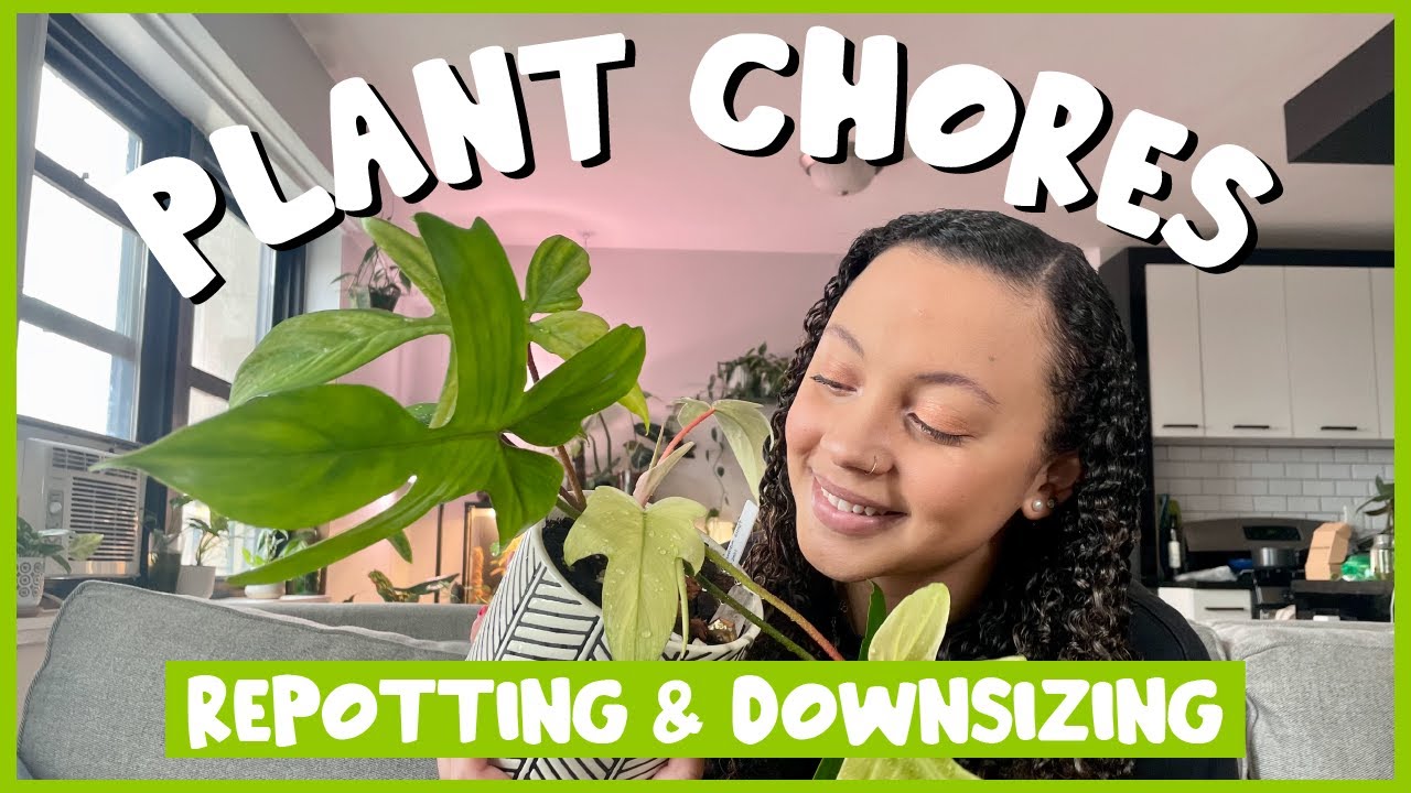 REPOT WITH MEEE! | Feat. P Florida Ghost 👻