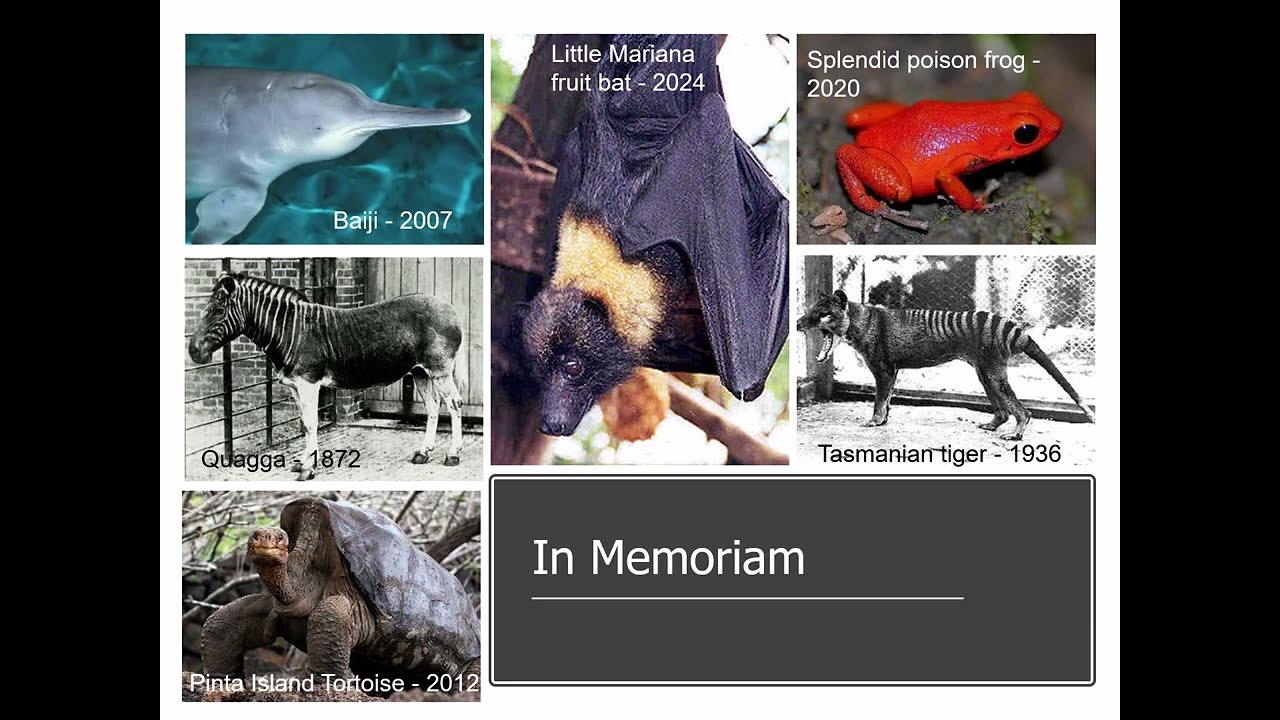 BIOL 100 Ch. 18