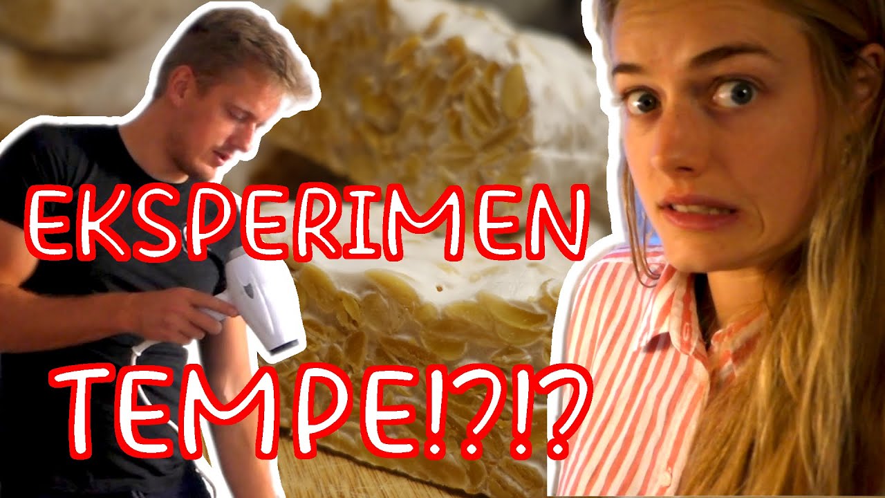 How to make your own Tempe ala #WhitePapuans - Ben DIZZY! - Tempe Experiment - DIY Homemade Tempe