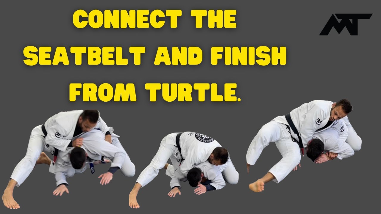 Submission From Turtle Position