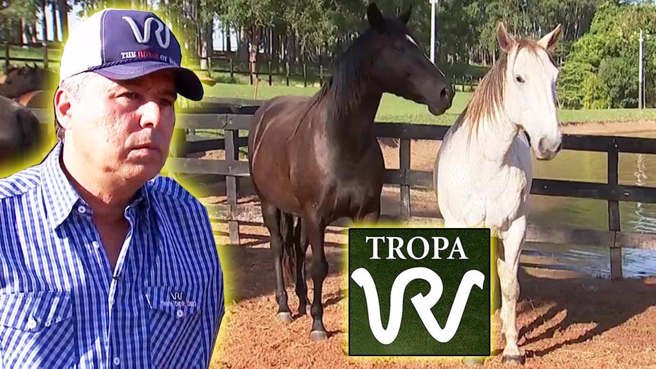 TROPA WR ●  Só Cavalo de Rodeio Campeão