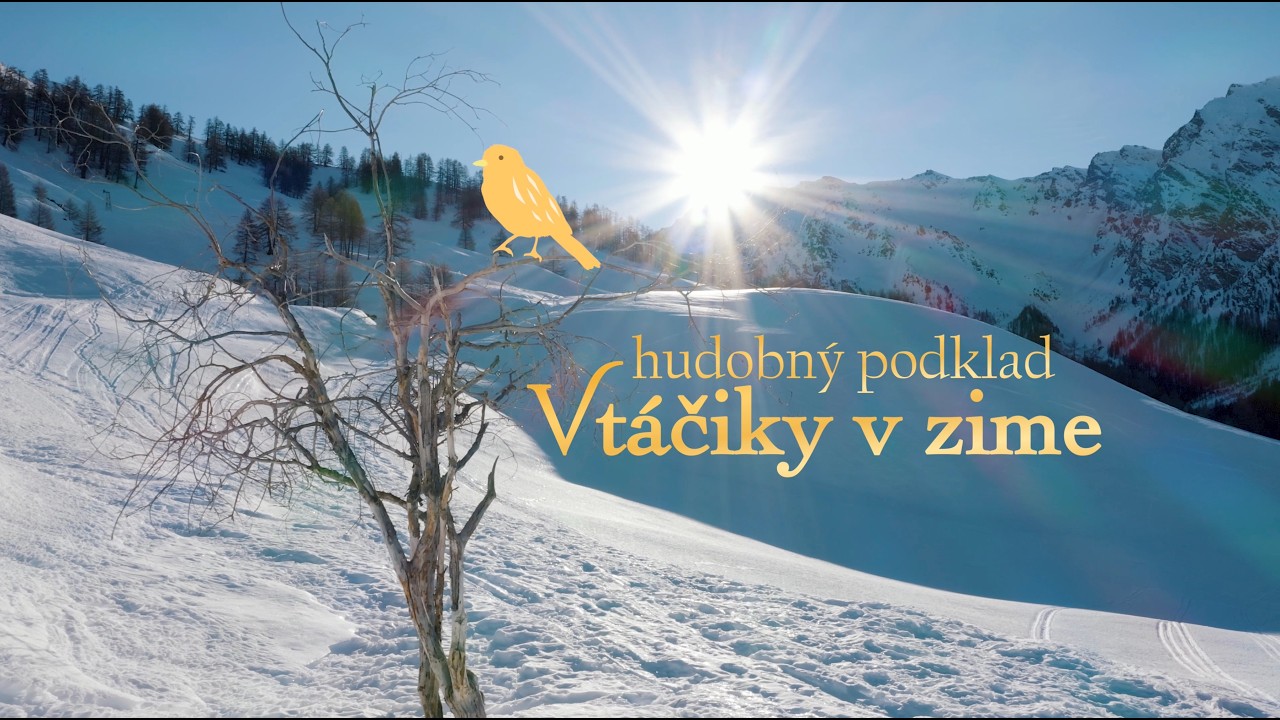 🐤 Vtáčiky v zime - hudobný podklad