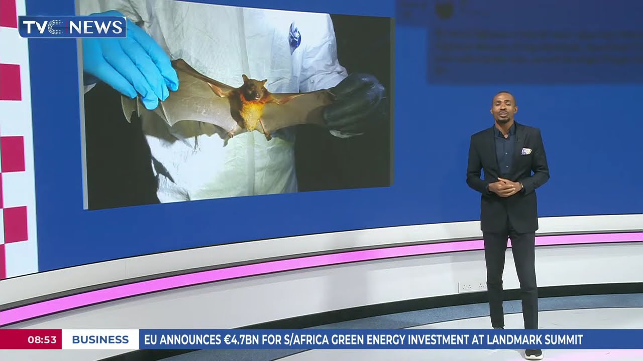 #Trending Now: New Coronavirus Discovered In Bats