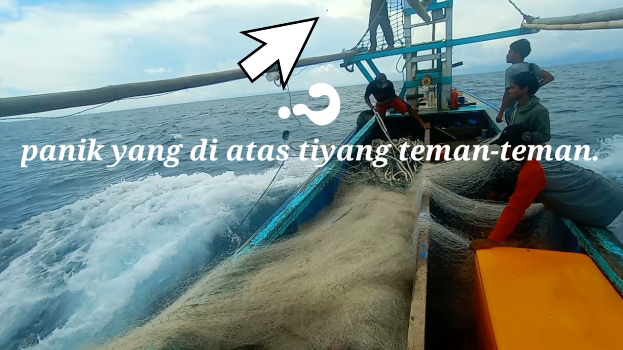 beginilah peroses menangkap ikan cakalang atau ikan tongkol. yang di lakukan oleh nelayan Kalimantan