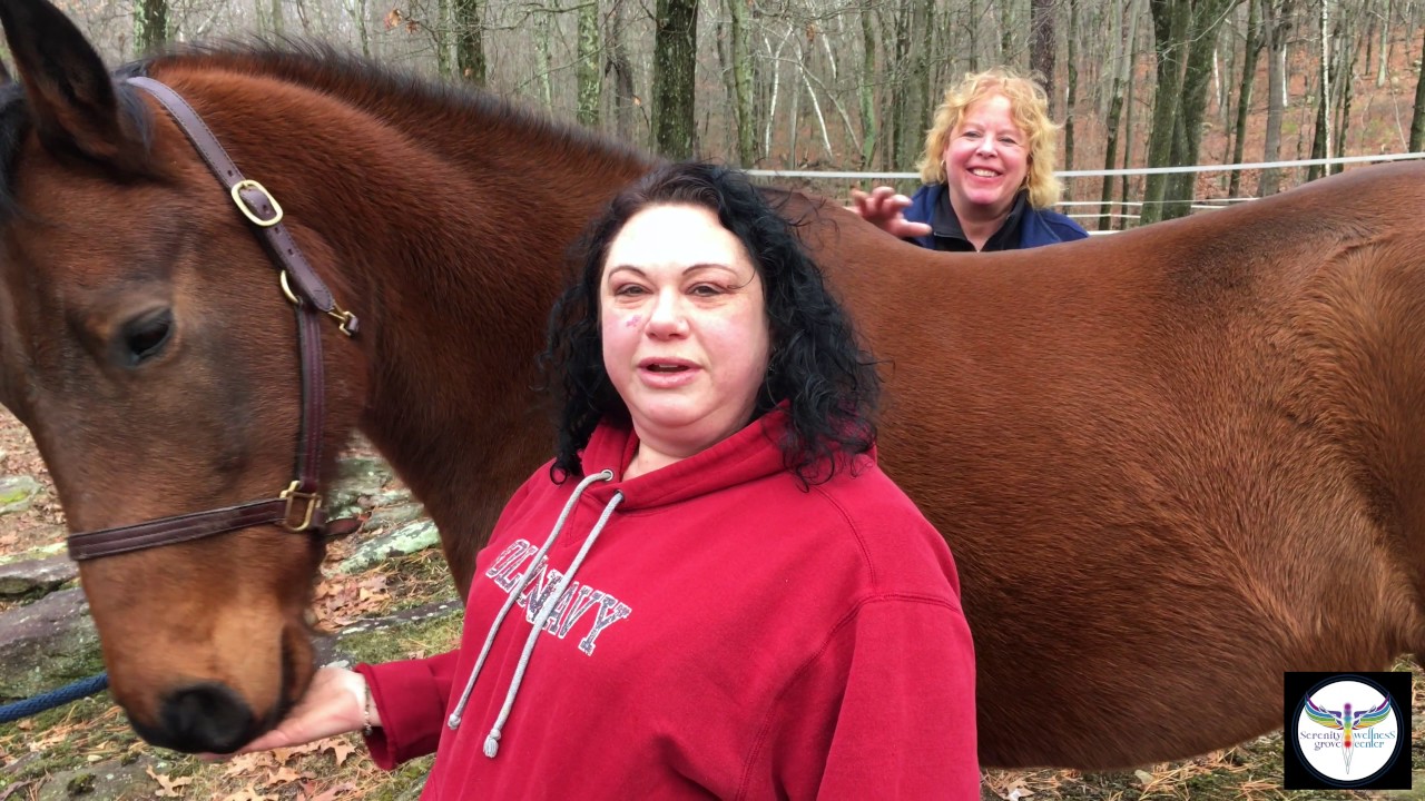 Heather Performs Reiki On Horses Frankie & CJ