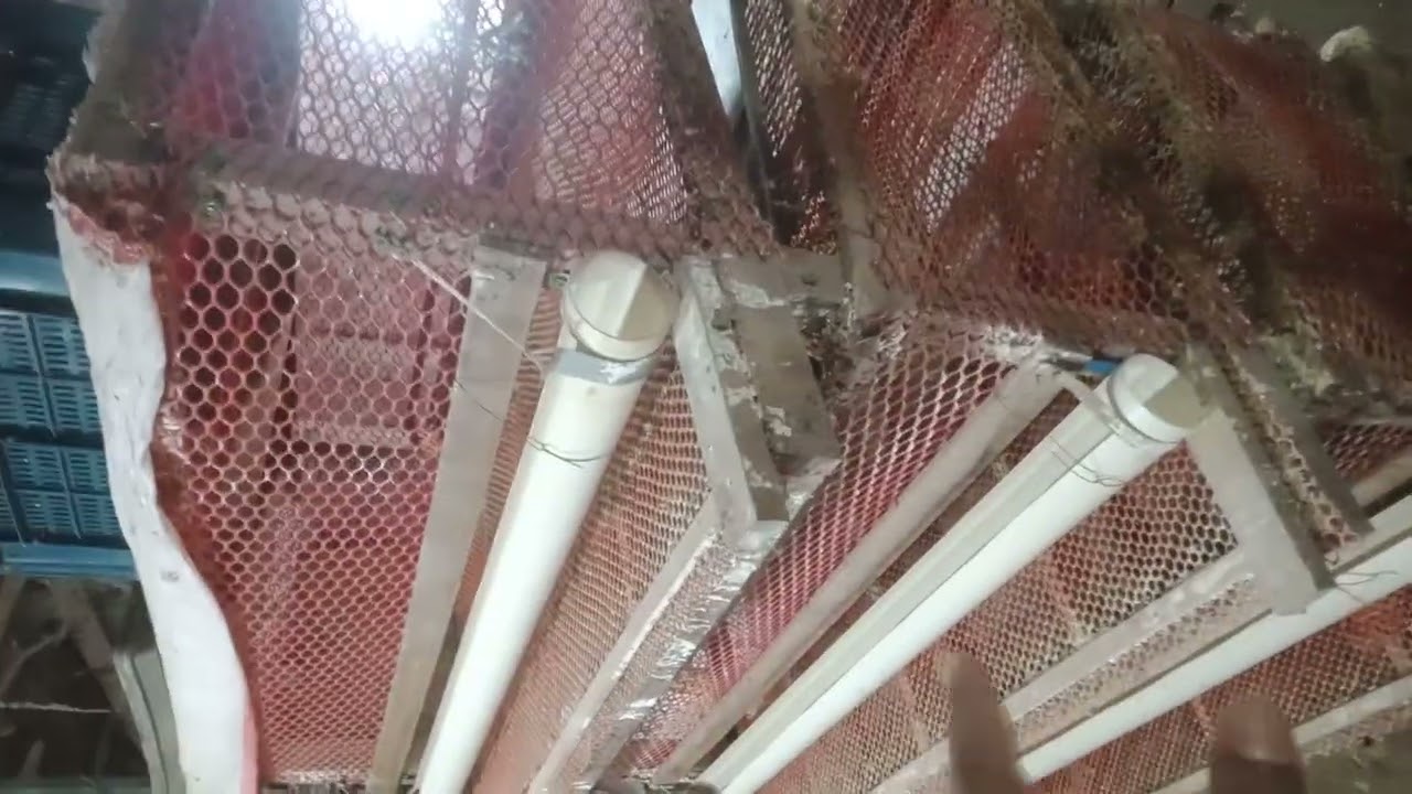 ১১ জানুয়ারী, ২০২৬