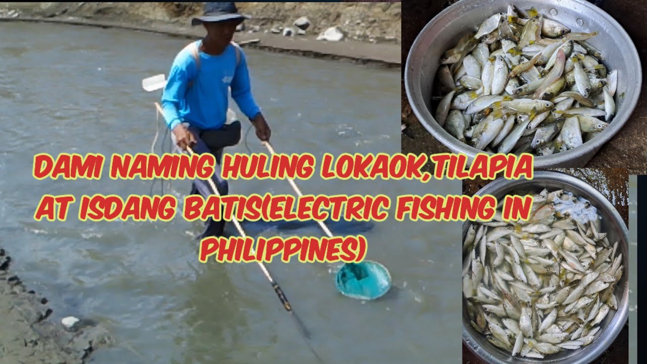 Dami Naming Huli na Lokaok ,Tilapia At Isdang Batis(Electric Fishing In The Philippines)