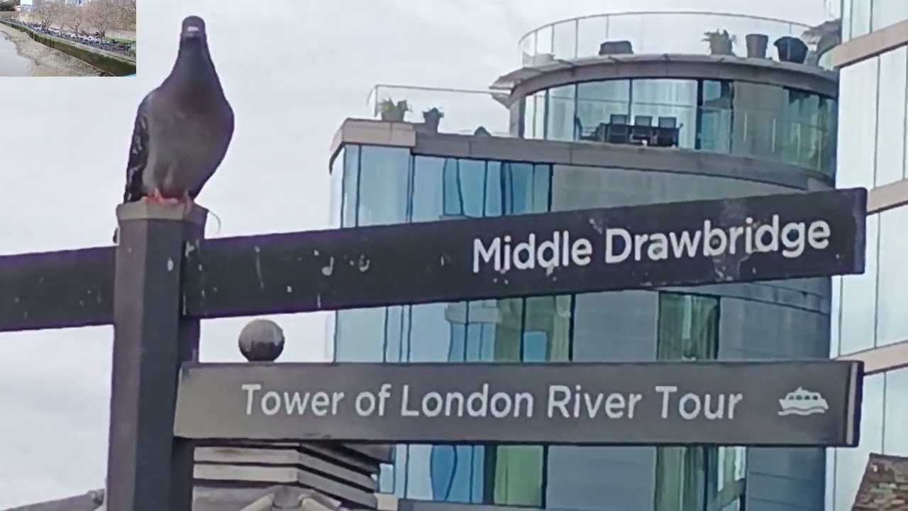 2 Passing The Tower of London, See Tower Bridge, HMS Belfast and The Shard
