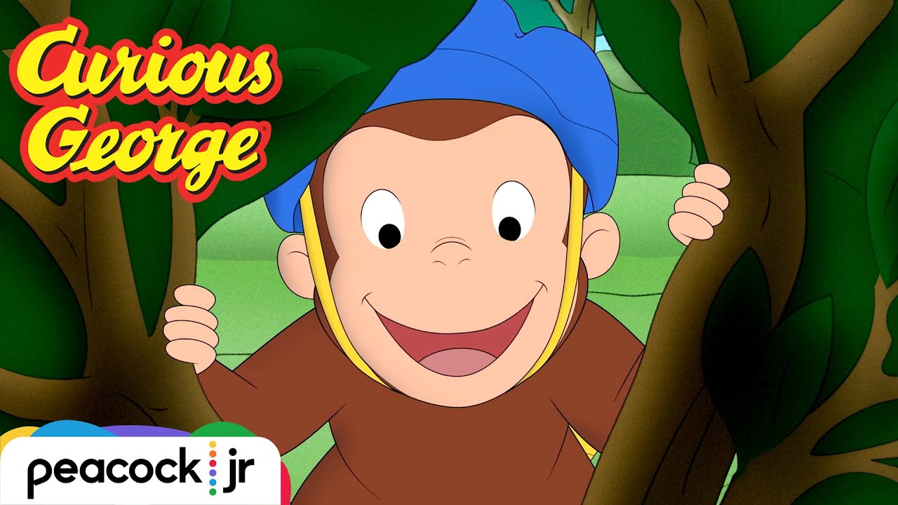 George Saves a Baby Bird | CURIOUS GEORGE