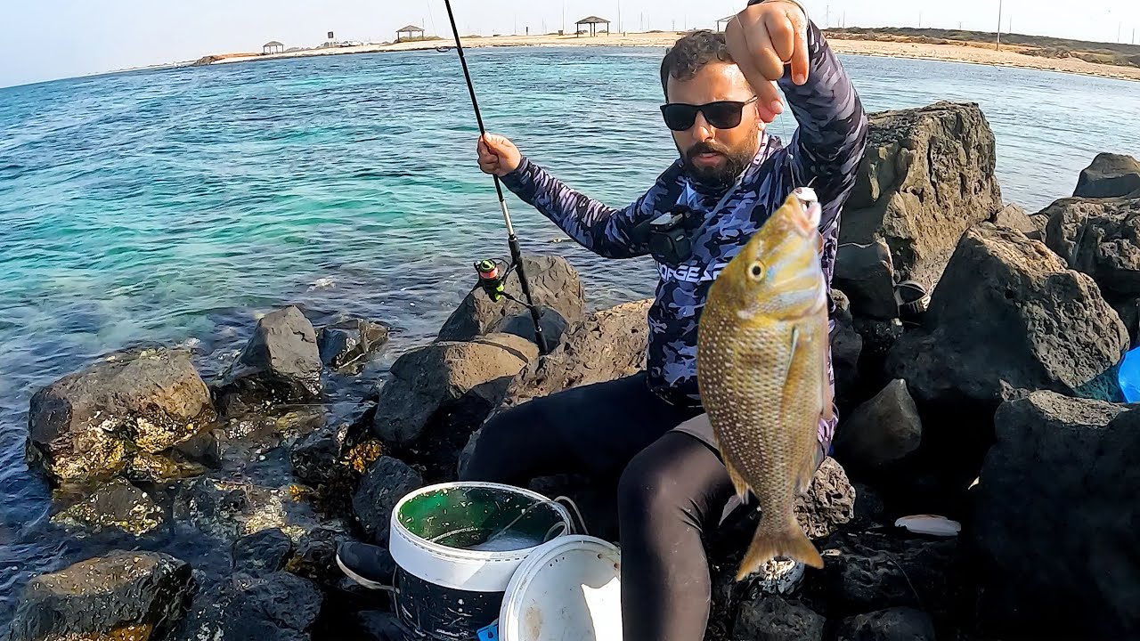 الطعم الحي .. ما ترك شيء إلا صاده ( live bait fishing )