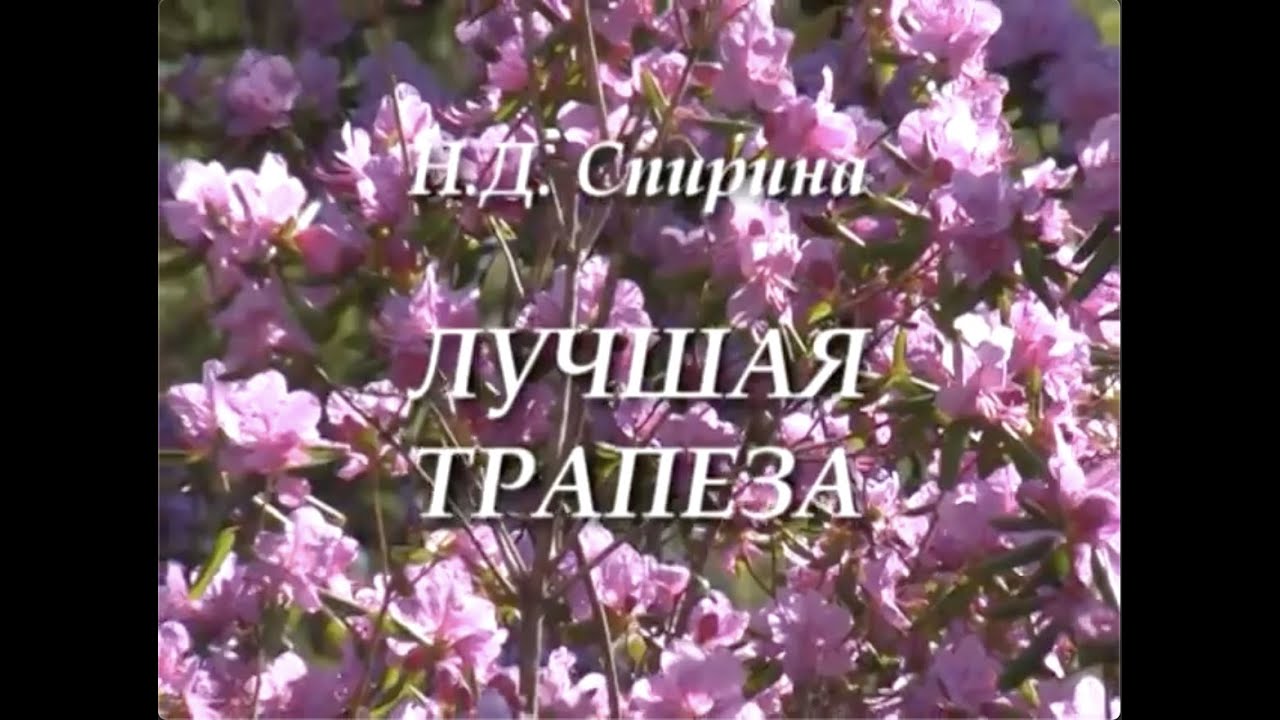 ЛУЧШАЯ ТРАПЕЗА. Наталия Спирина
