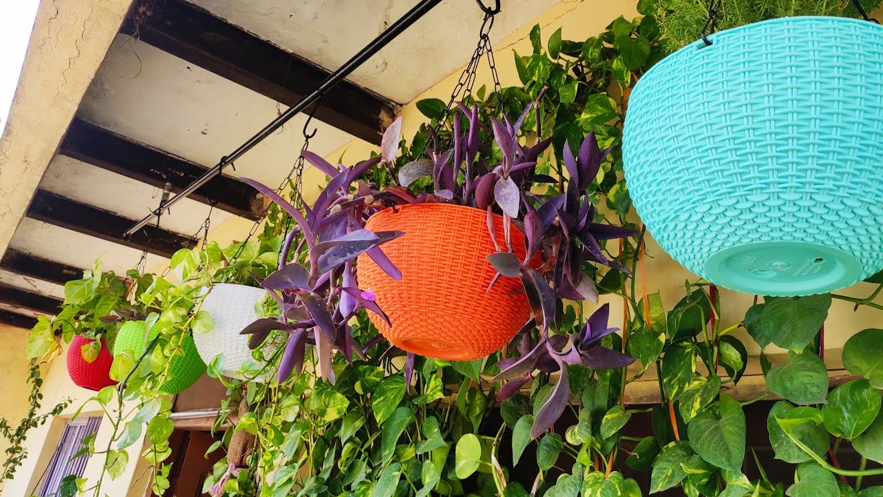 Hanging Planters||Plastic Hanging Pots||Beautiful Hanging Pots||Soil Mixture.||@wowgardening