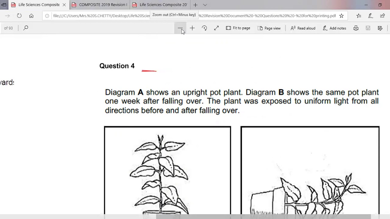 Questions on plant hormones Grade 12 Life Science