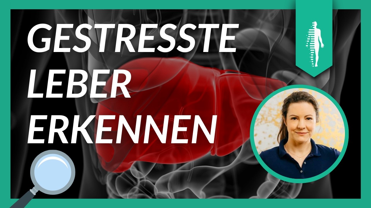Gestresste Leber erkennen: Anzeichen und was Du selbst dagegen tun kannst