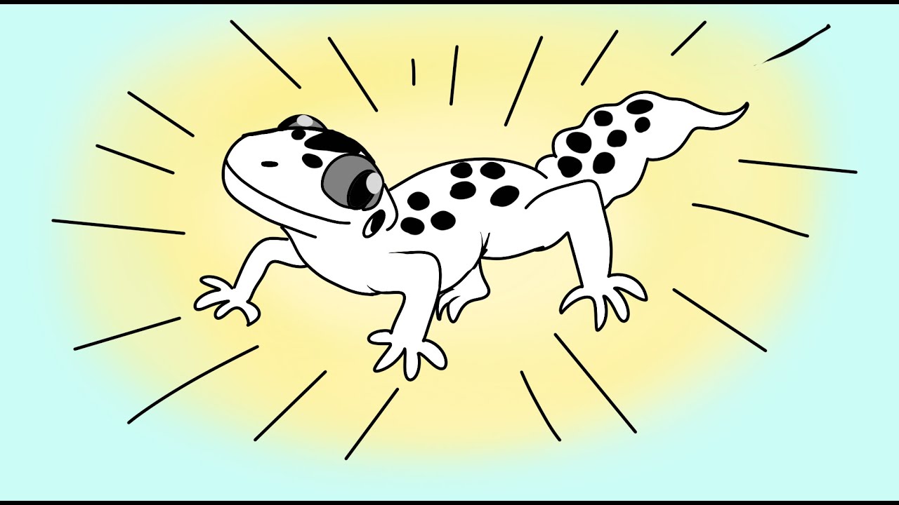 Species Summary #8: Leopard geckos