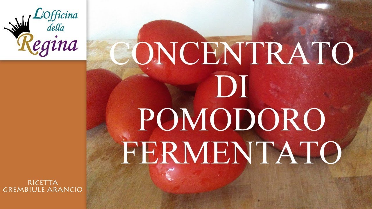 concentrato di pomodoro fermentato