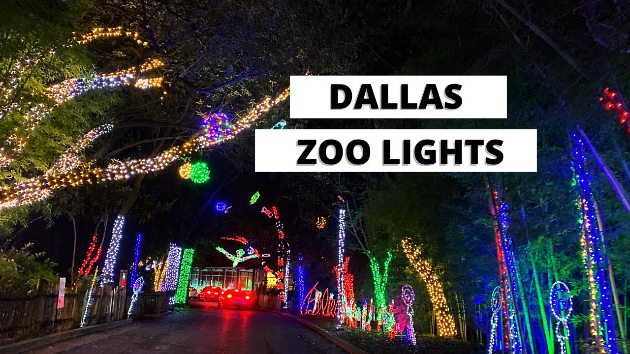 DRIVE-THRU DALLAS ZOO LIGHTS 2020