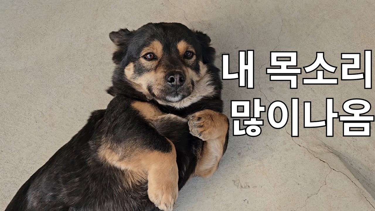 어때?