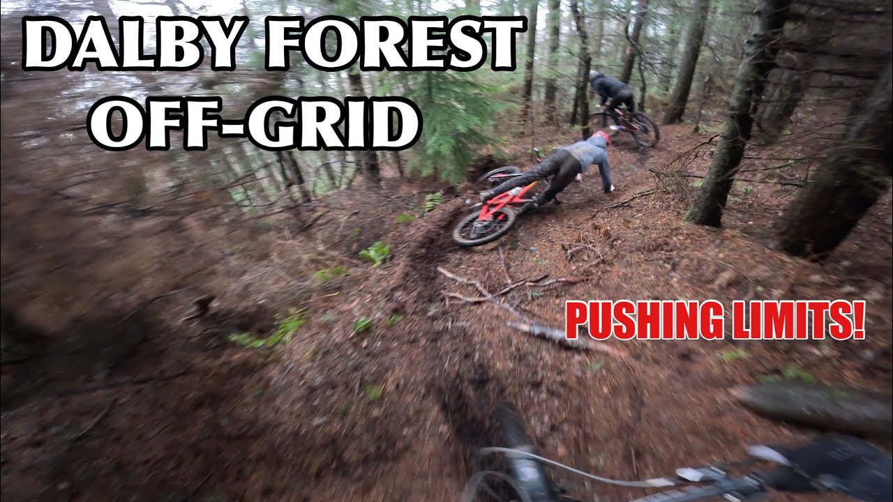 DALBY FOREST OFF-GRID AND STEEP SIDE GNAR