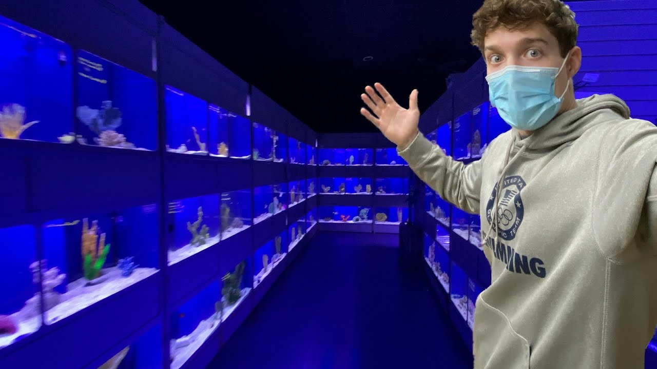 HUGE Aquarium Store Tour!!! (Dallas North Aquarium)