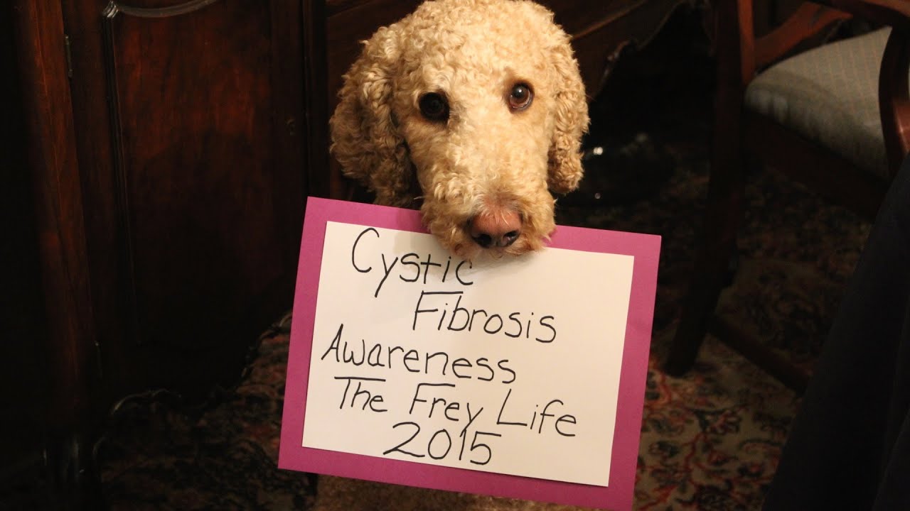 CF AWARENESS MONTH - FACES OF THE FREY LIFE!!!