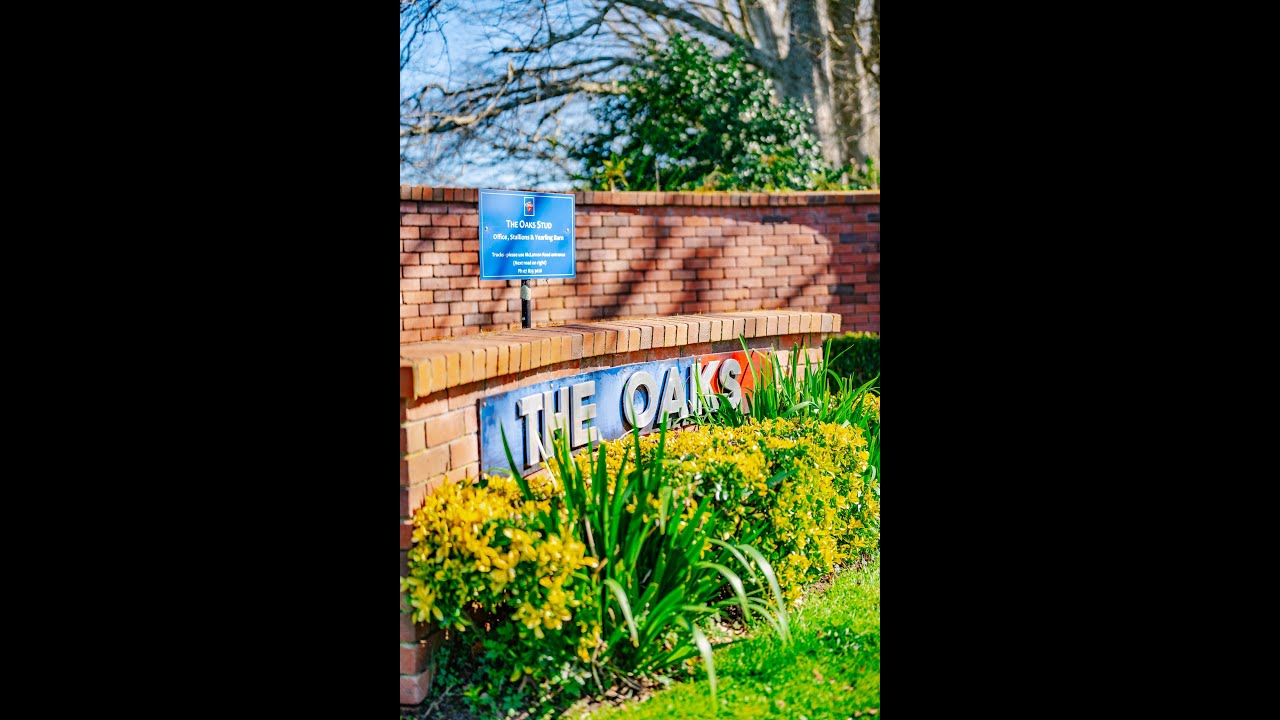 The Oaks Stud