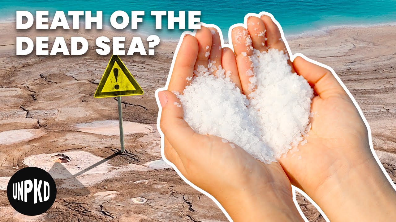 What Can We Do To Stop The Dead Sea From Dying? | Unpacked