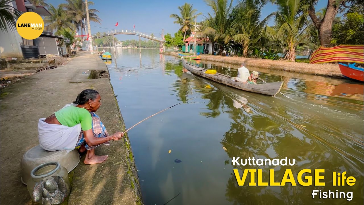 കൈ  ചൂണ്ടയിൽ ചട്ടി നിറയെ മീൻ പിടിച്ചു  I Kuttanadu Village Fishing #fishing