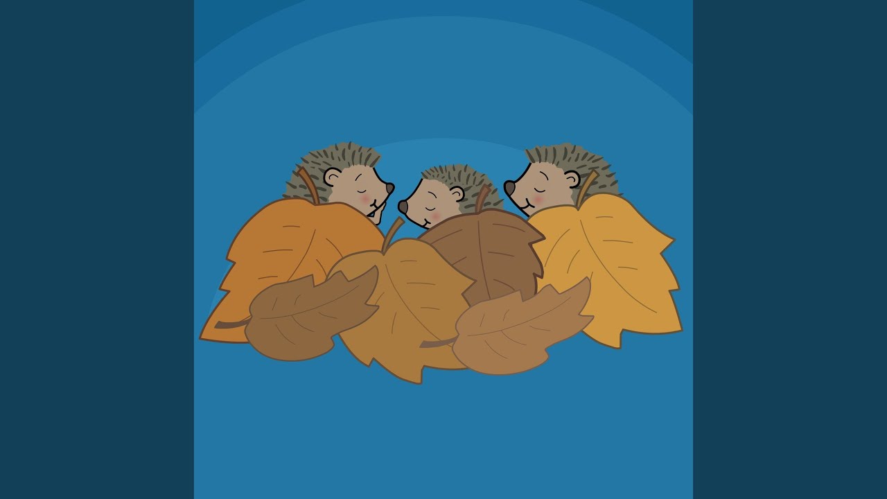 Kleine Igel schlafen gern