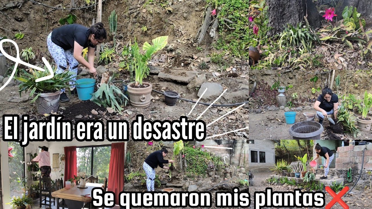 Regresamos al Jardín 🌸👩🏻‍🌾🐝/ Casi pierdo mi jardín,todo estaba muy mal ❎😭😩