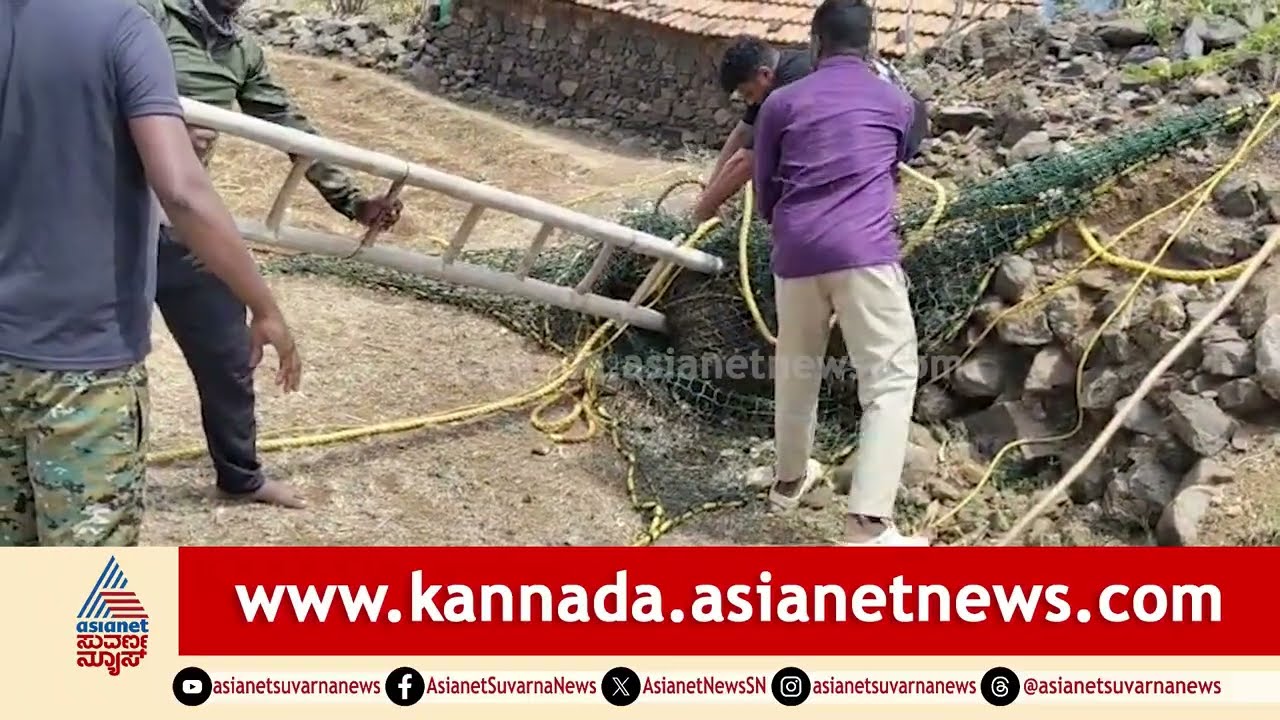 ನೀರು ಅರಸಿ ಬಂದು ಬಾವಿಗೆ ಬಿದ್ದಿದ್ದ ಕಾಡುಹಂದಿ ರಕ್ಷಣೆ | Chamarajanagar | Wild Boar Rescued | Suvarna News