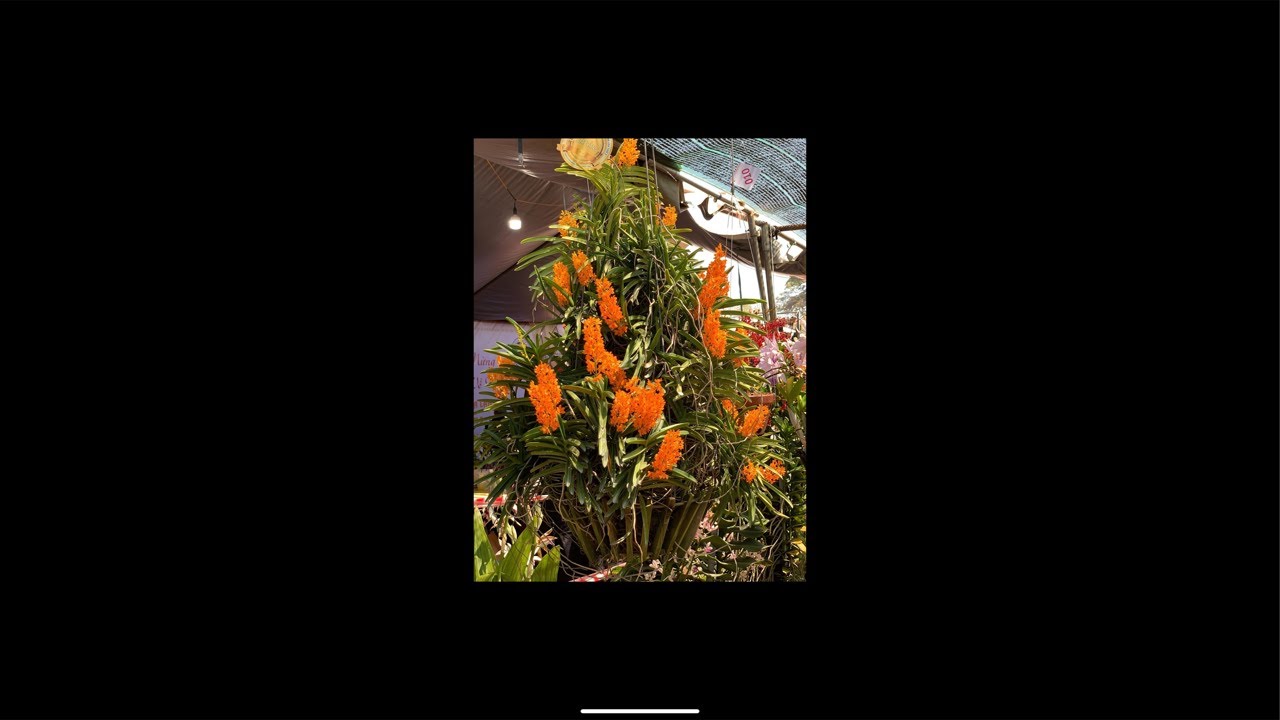 0914466956