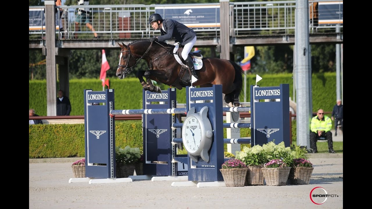 Grand Slam VDL Stud Stallion Show 2021